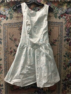 Wild fable dress